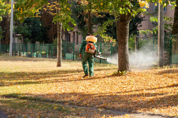 Best Pest Control Near Me  in Ack, NY